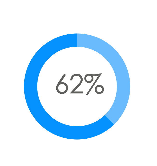 Donut chart showing percentage of income.