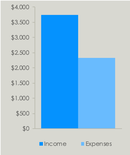 Column bar chart showing income and expenses.